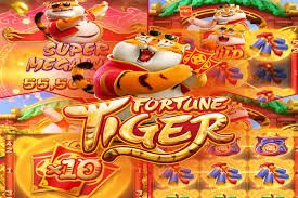 Studio dealer langsung Ceme Online dengan meja HD di net 33